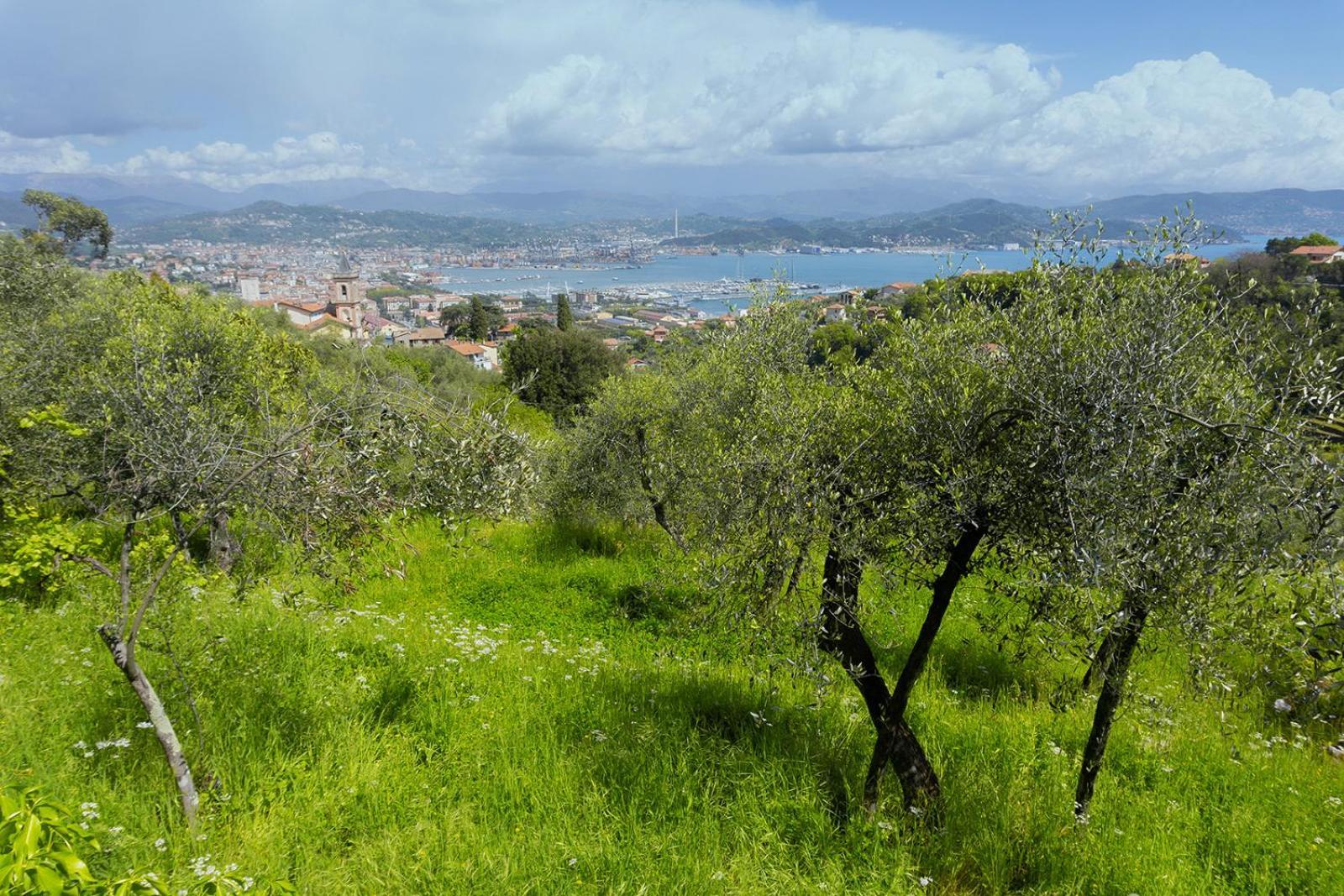 Gli Ulivi Sul Golfo E Le 5 Terre Apartment La Spezia Luaran gambar