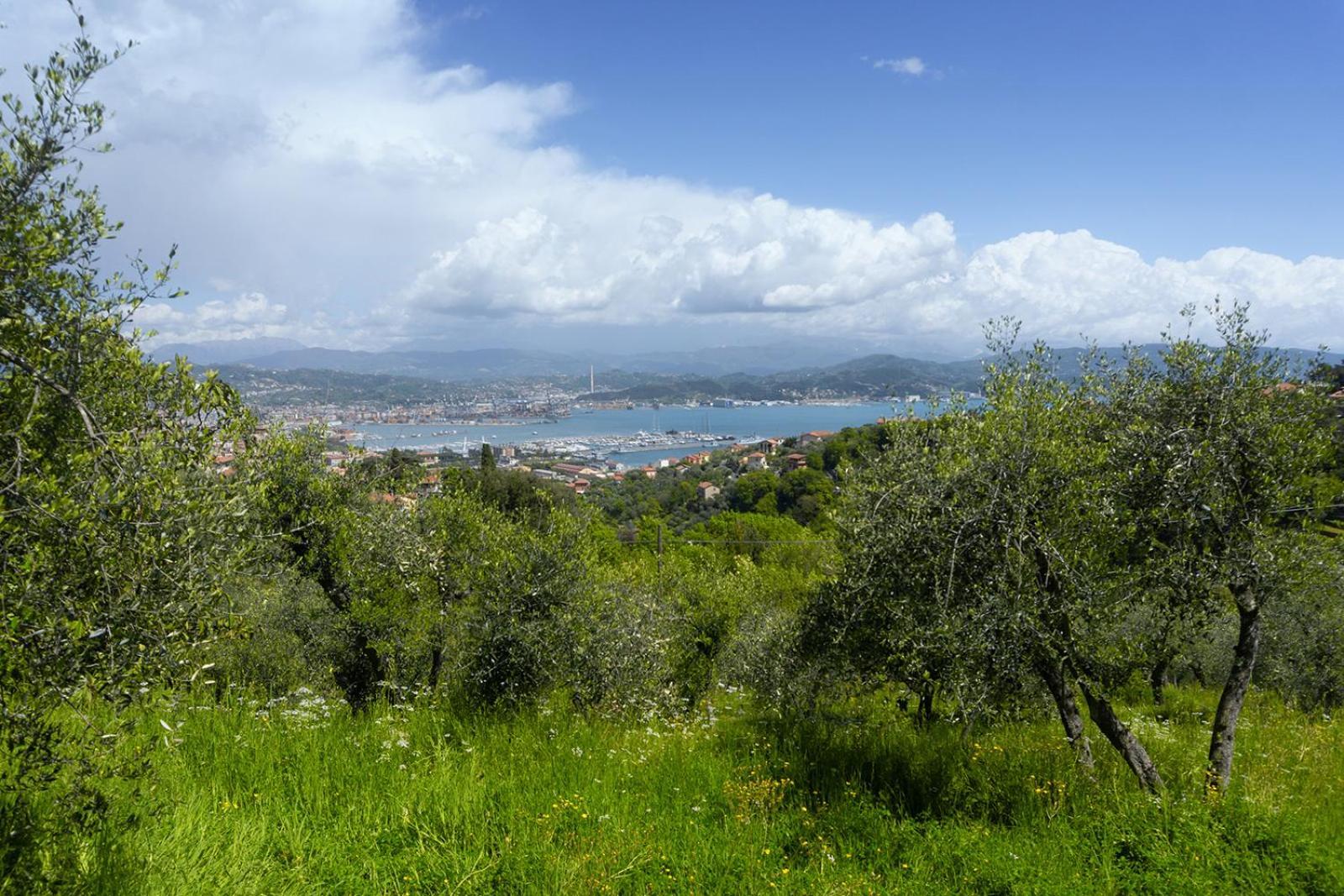 Gli Ulivi Sul Golfo E Le 5 Terre Apartment La Spezia Luaran gambar