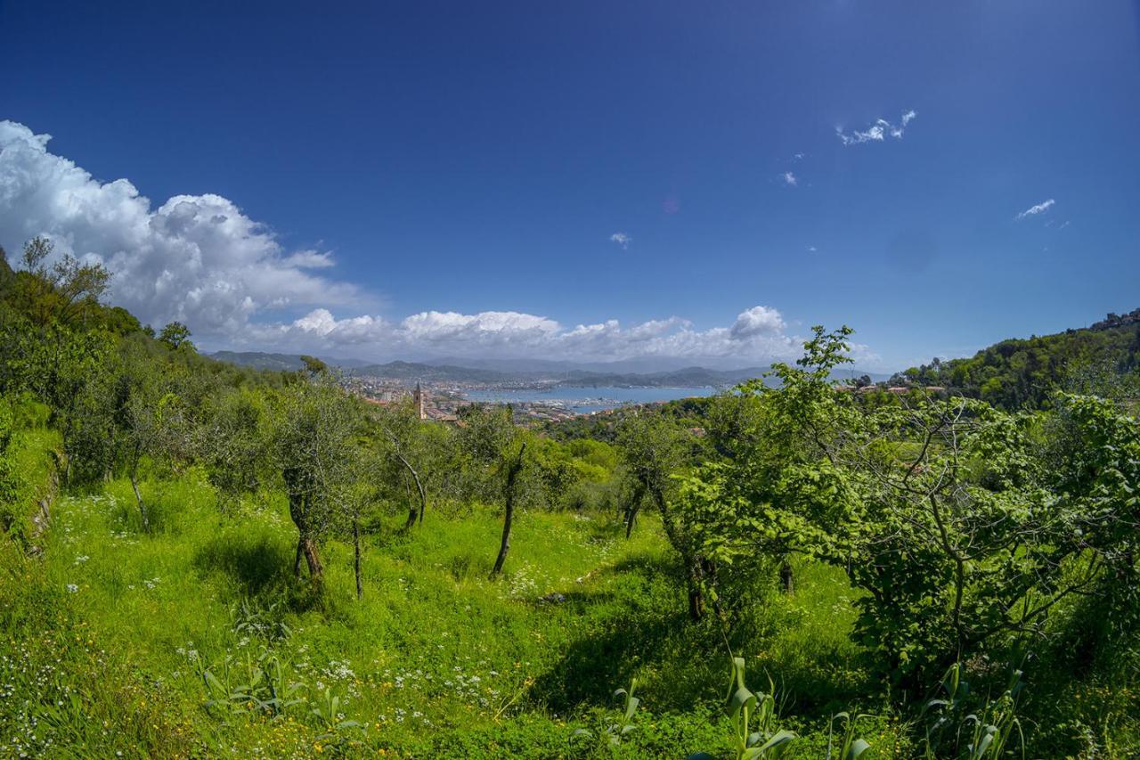 Gli Ulivi Sul Golfo E Le 5 Terre Apartment La Spezia Luaran gambar